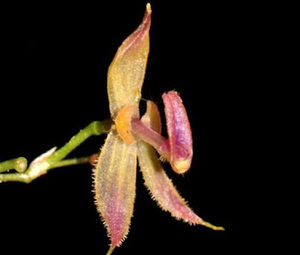 Meet your Posher, Michaela